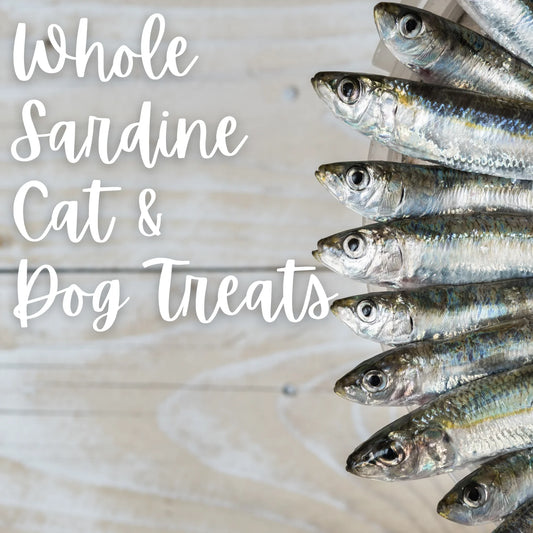 Whole Sardine Cat & Dog Treats